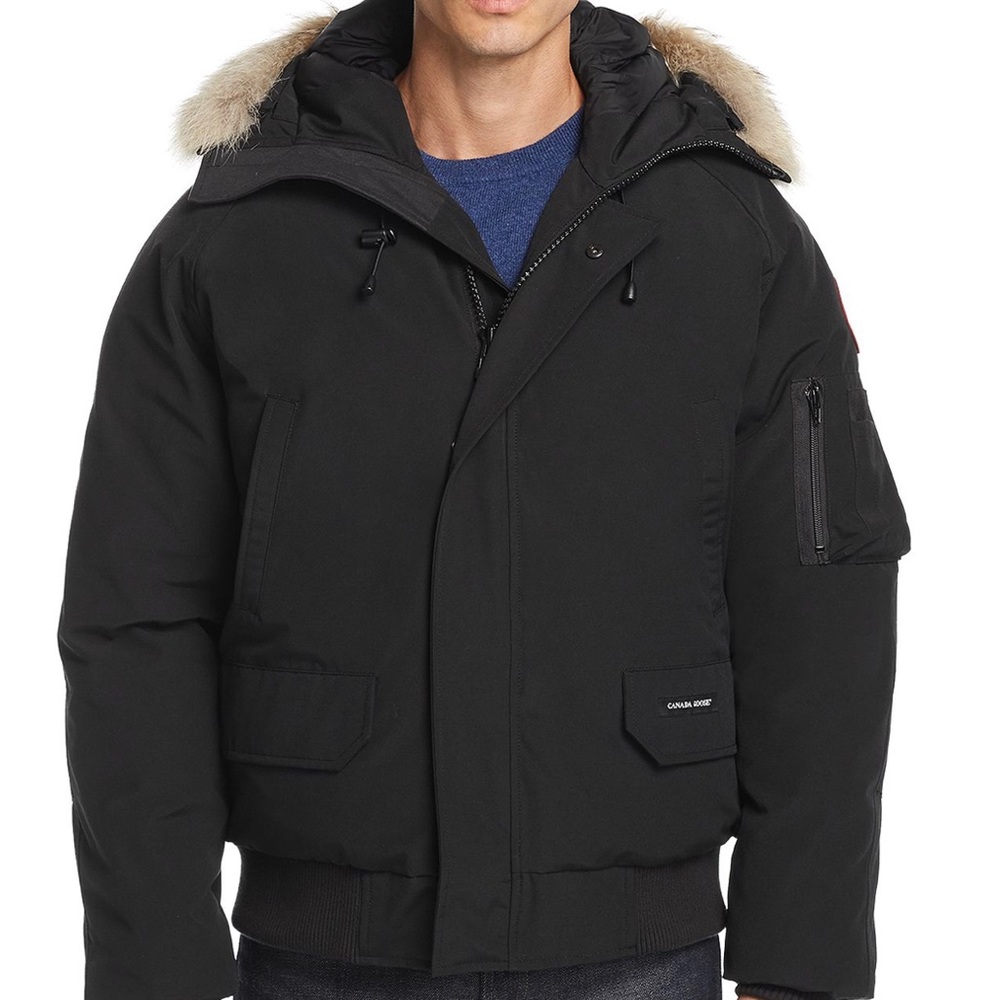 Canada goose
